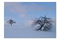 Winter M 06